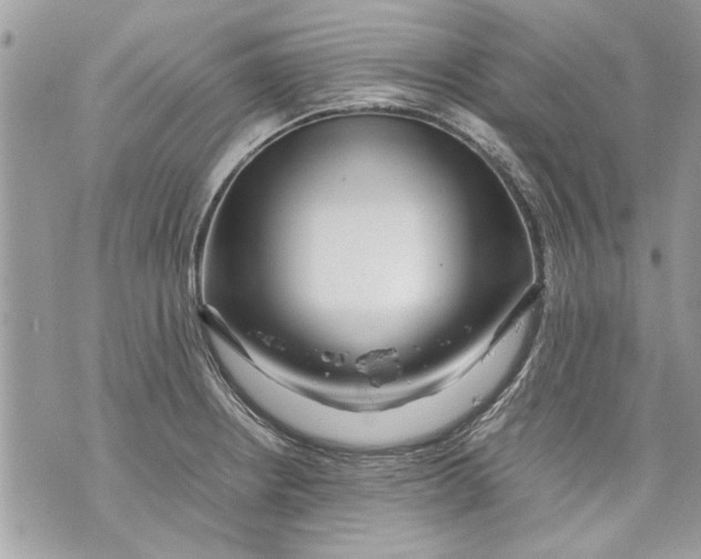 X0000070191234200606161542