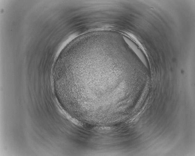 X0000070191235200606161542