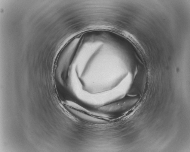 X0000070191236200606161542