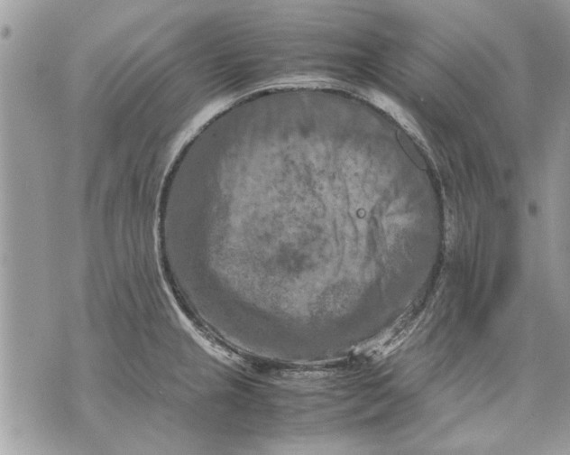 X0000070191237200606161542