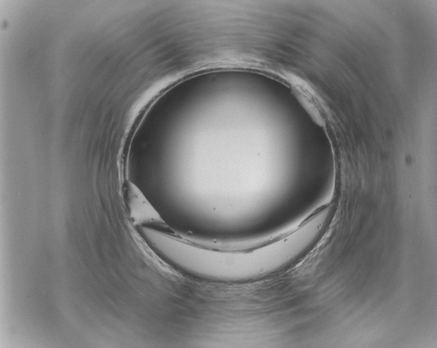 X0000070191238200606161542