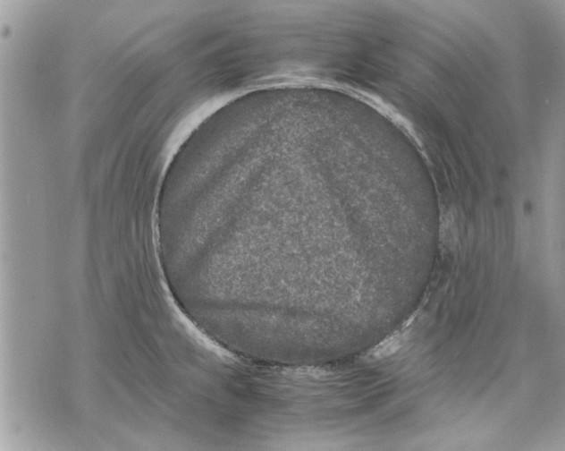 X0000070191239200606161542