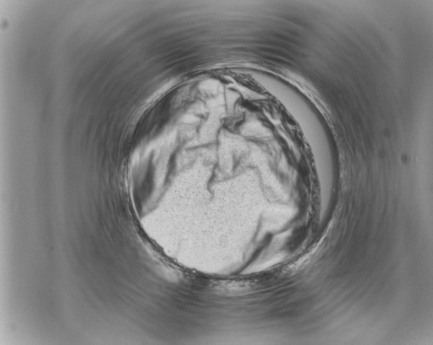 X0000070191241200606161542