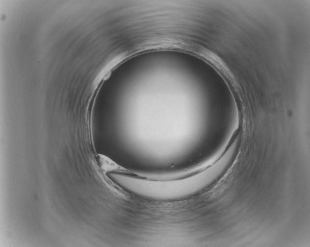 X0000070191242200606161542