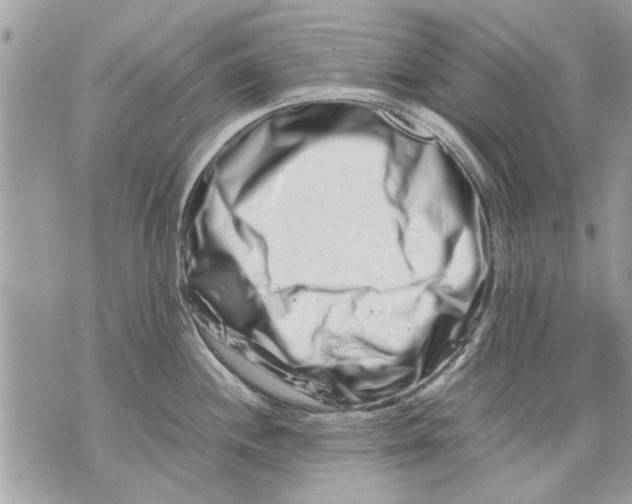 X0000070191244200606161543