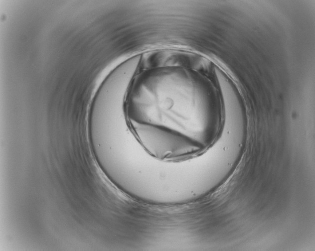 X0000070191246200606161543