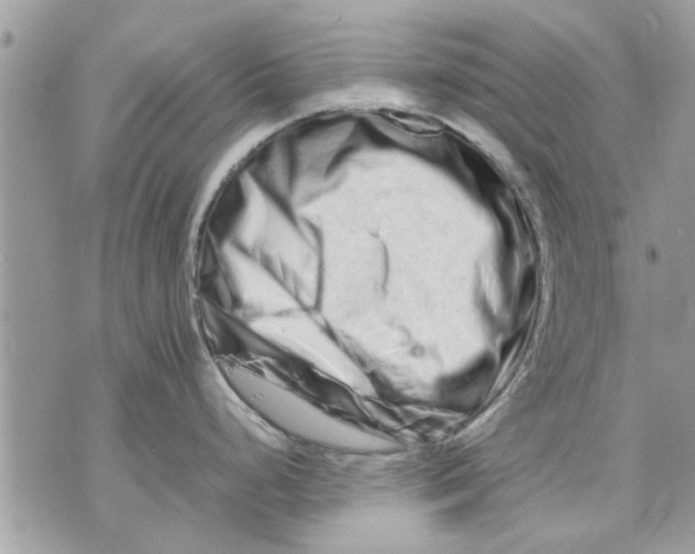 X0000070191248200606161543