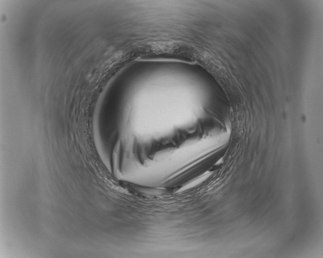 X0000070191249200606161542