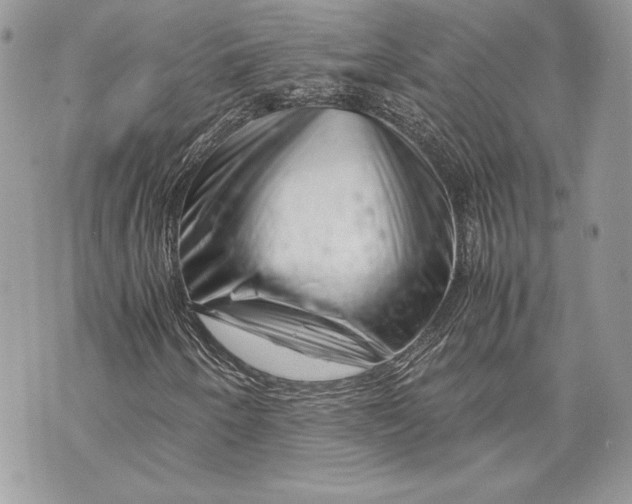 X0000070191250200606161542