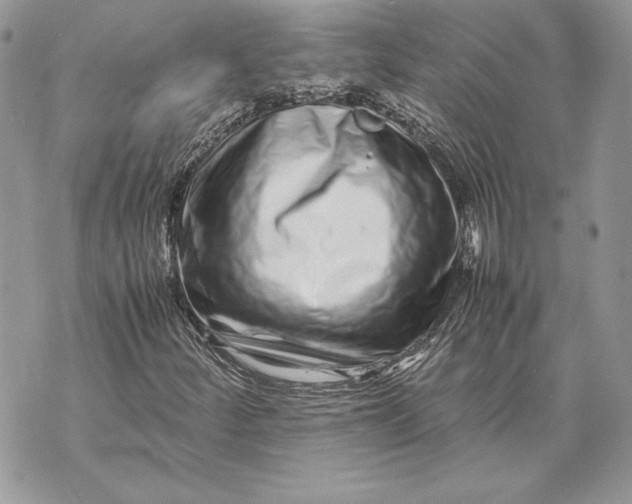 X0000070191252200606161542