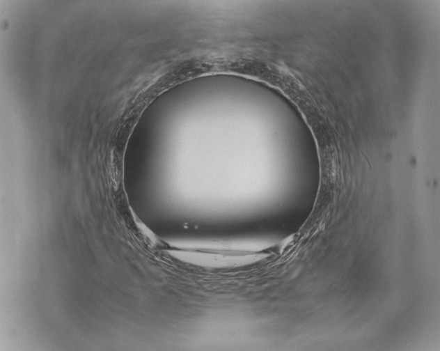 X0000070191253200606161542