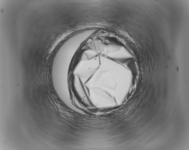 X0000070191256200606161542