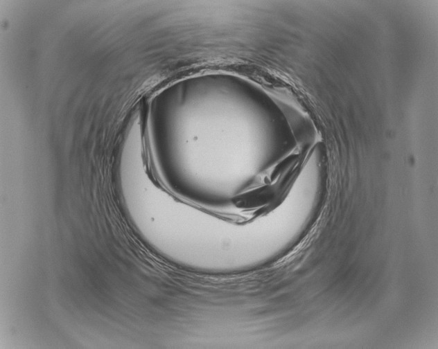 X0000070191257200606161542