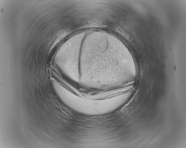 X0000070191258200606161542