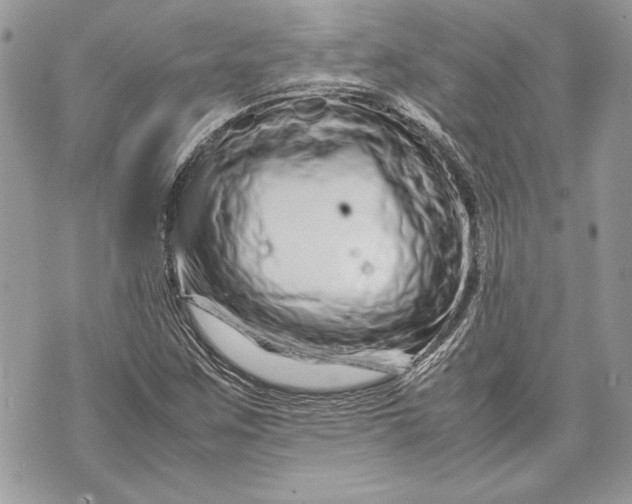 X0000070191259200606161542