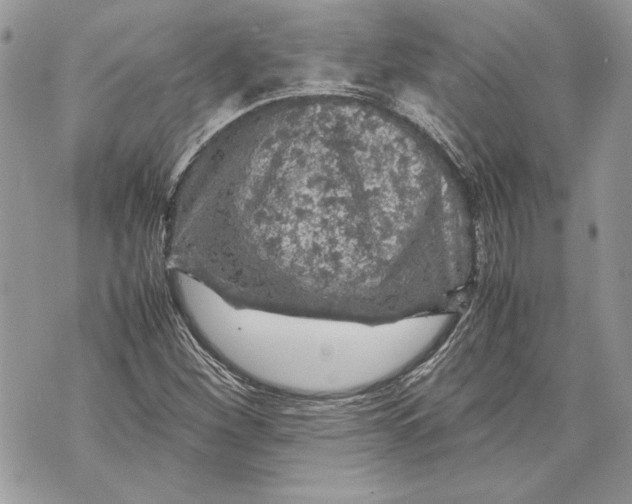 X0000070191260200606161542