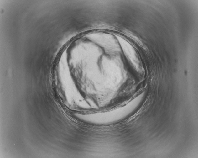 X0000070191264200606161542