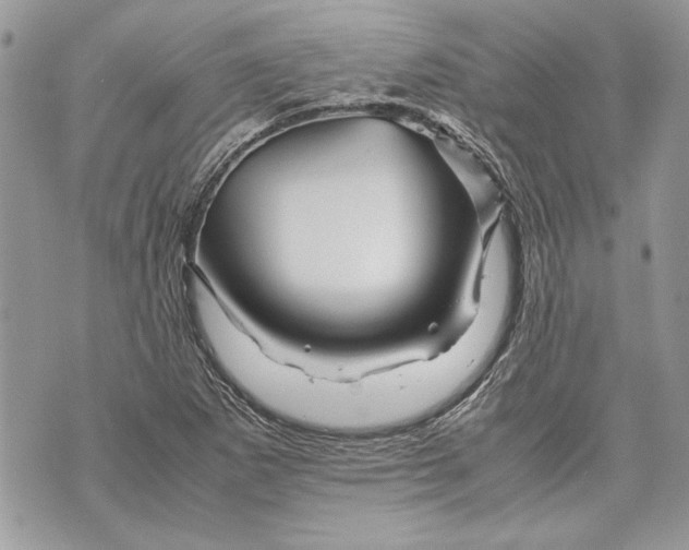 X0000070191265200606161542