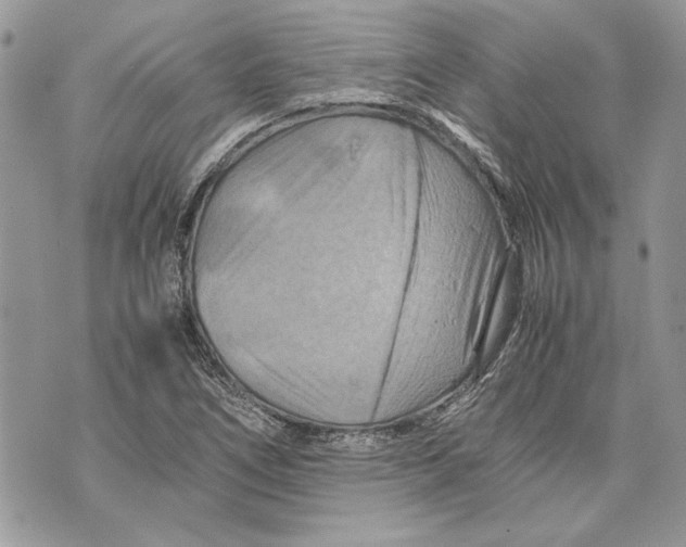 X0000070191266200606161542