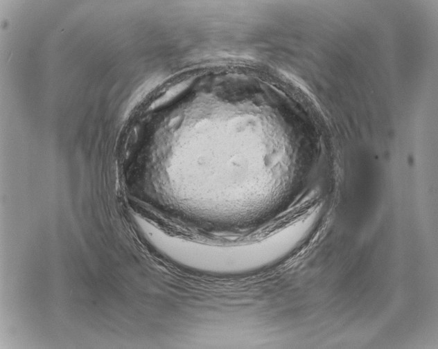 X0000070191267200606161542