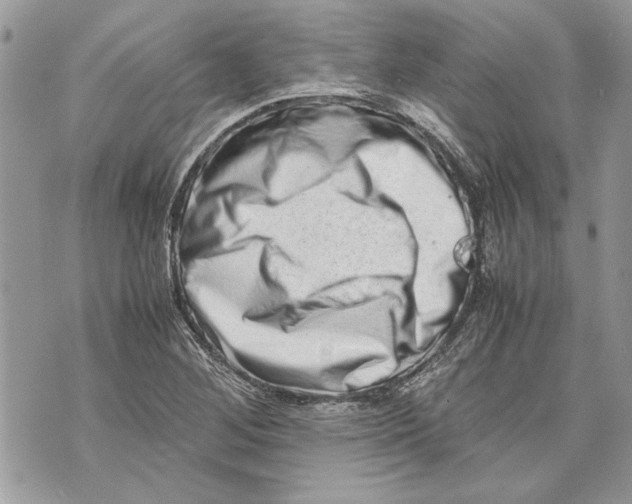 X0000070191268200606161541