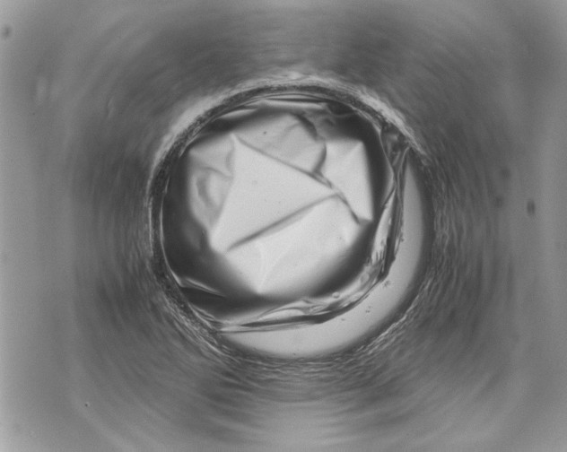 X0000070191270200606161541