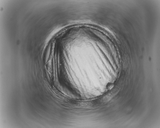 X0000070191271200606161541