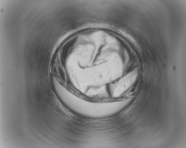 X0000070191272200606161541