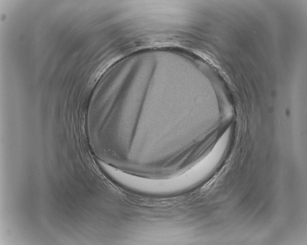 X0000070191273200606161541