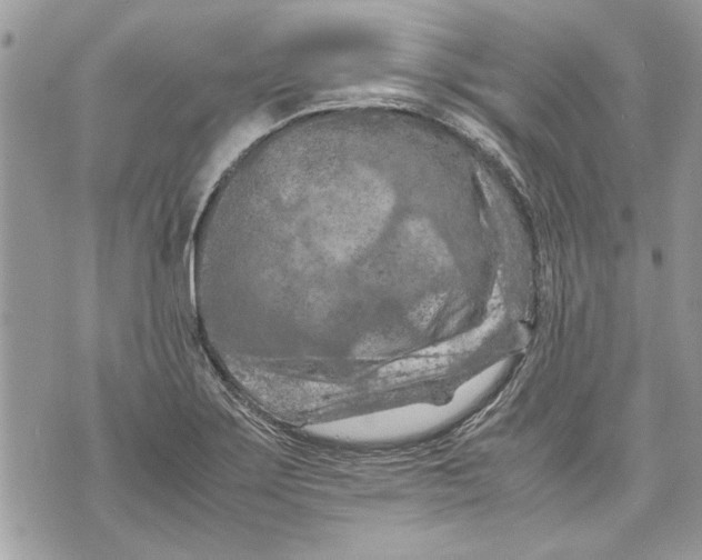 X0000070191275200606161541