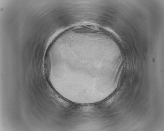 X0000070191278200606161541