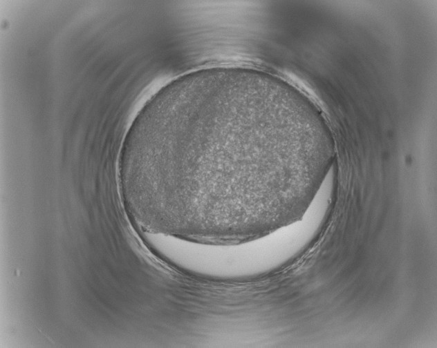 X0000070191283200606161541