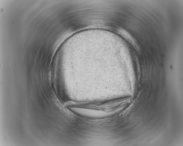 X0000070191284200606161541