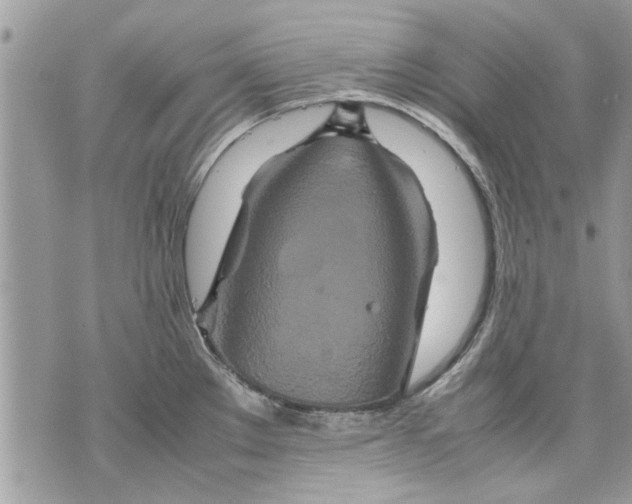 X0000070191289200606161541