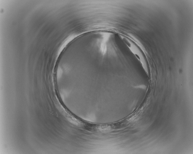 X0000070191291200606161541