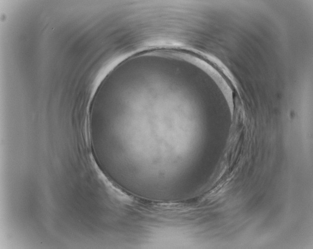 X0000070191295200606161541