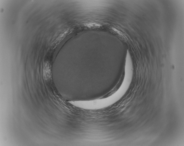 X0000070191298200606161540