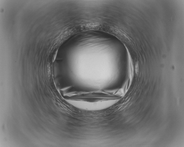 X0000070191299200606161540