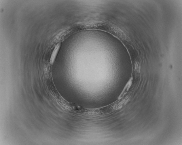 X0000070191300200606161540