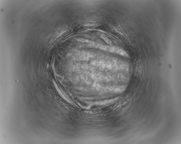 X0000070191301200606161540