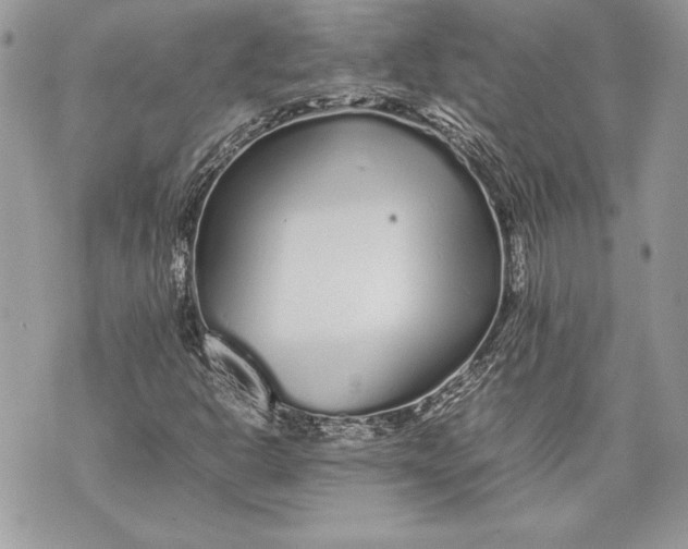 X0000070191302200606161540