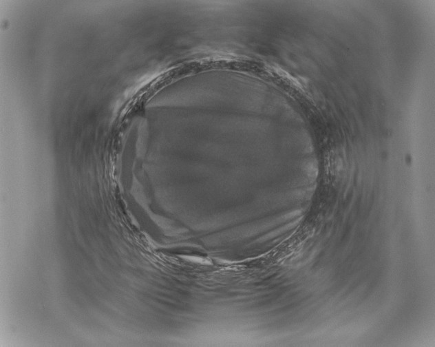 X0000070191303200606161540