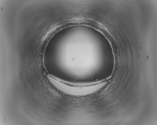 X0000070191304200606161540