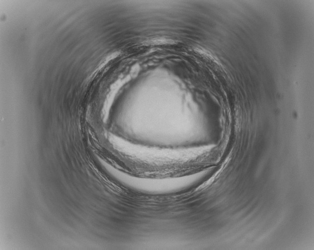 X0000070191305200606161540