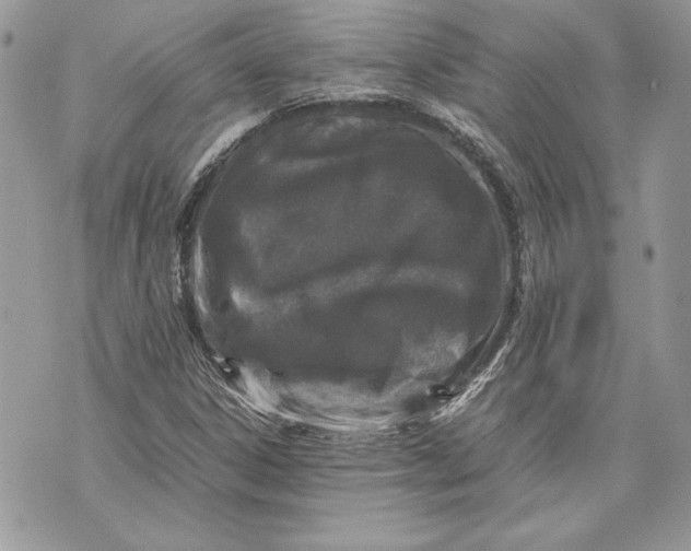 X0000070191306200606161540