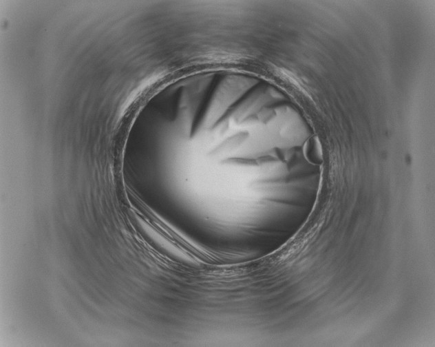 X0000070191307200606161540