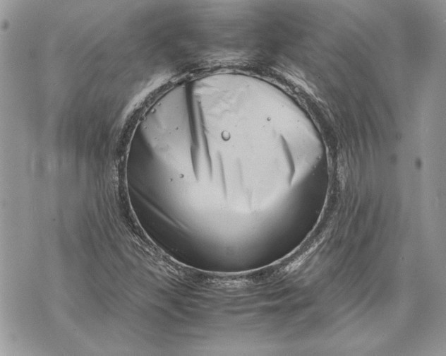 X0000070191309200606161540