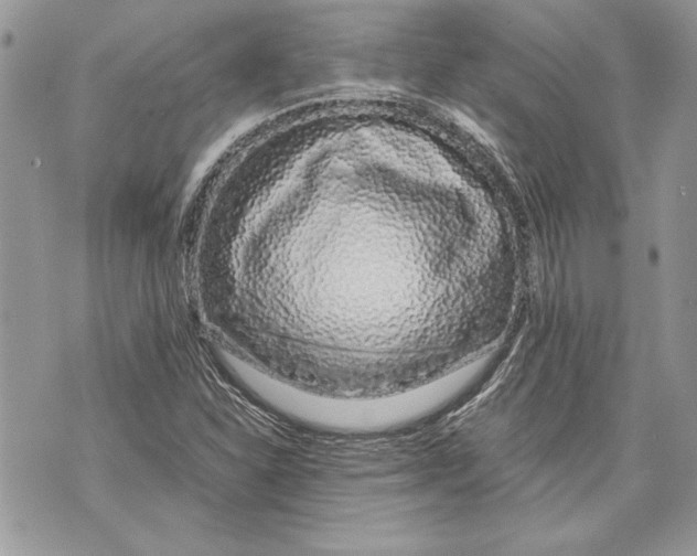 X0000070191310200606161540