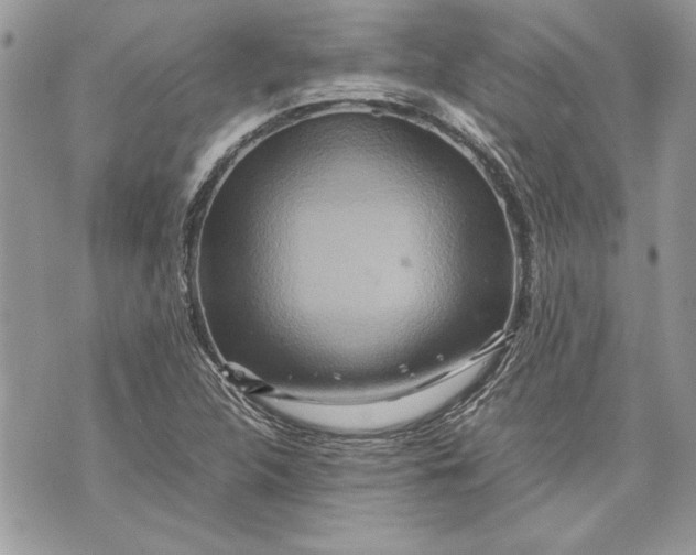 X0000070191312200606161541