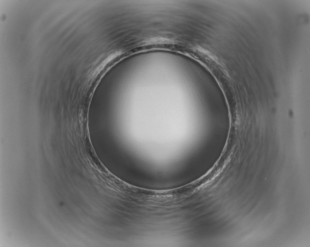 X0000070191313200606161541